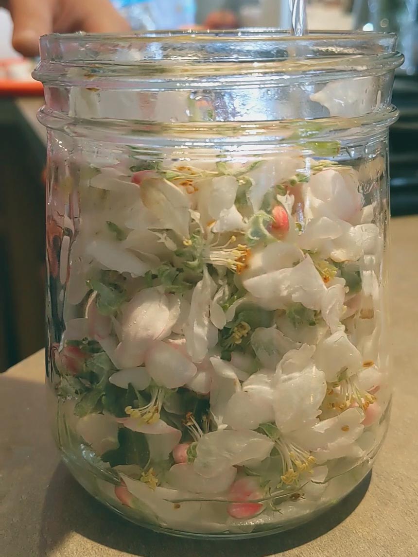 Blossoms in the jar