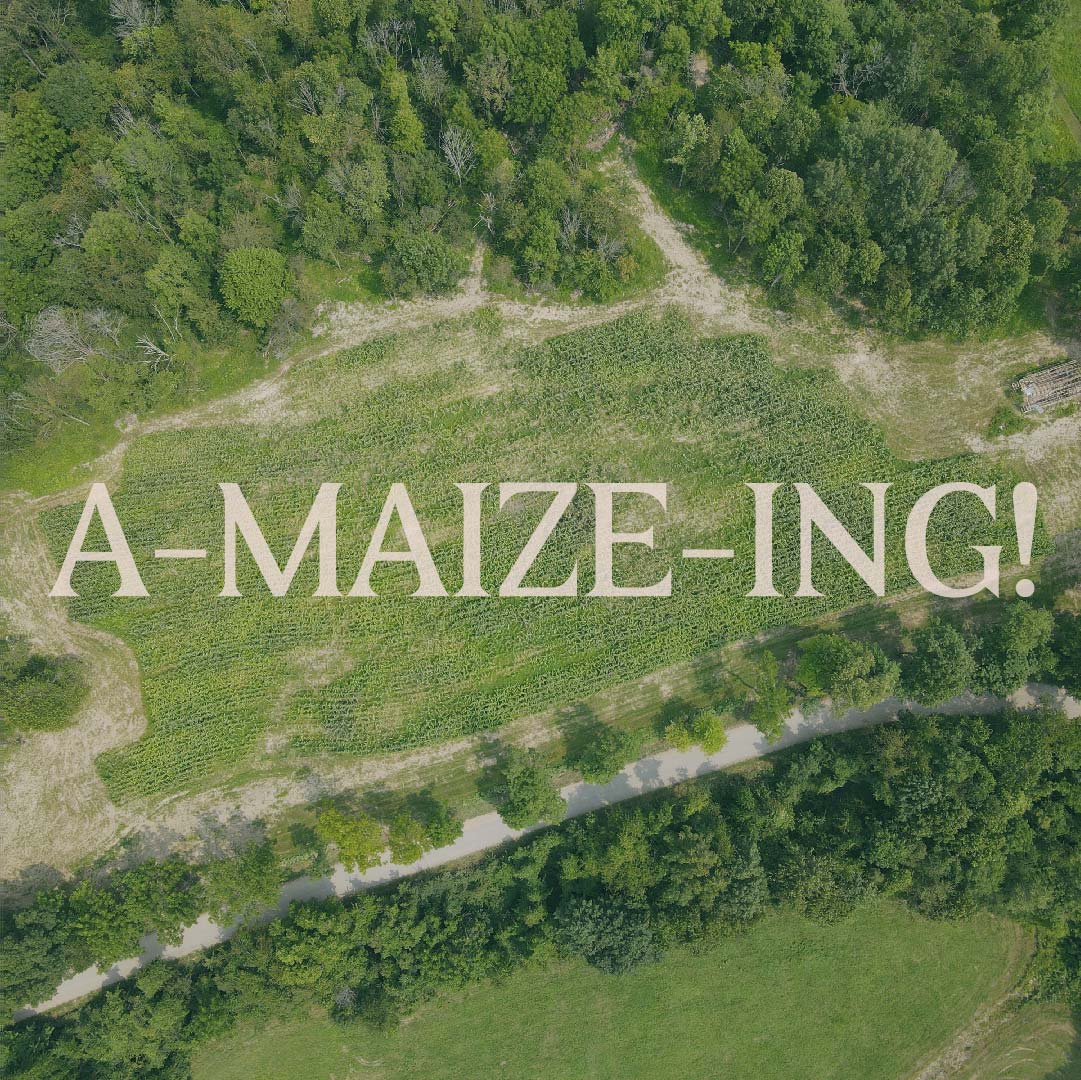 A-maize-ing!